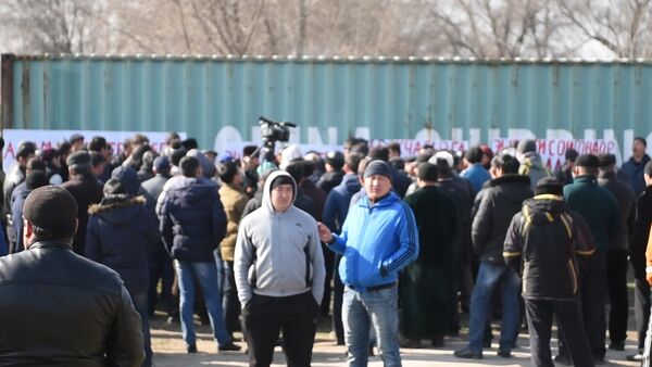 Митинг против забоя ослов прошел в селе Ак-Жол - Sputnik Кыргызстан
