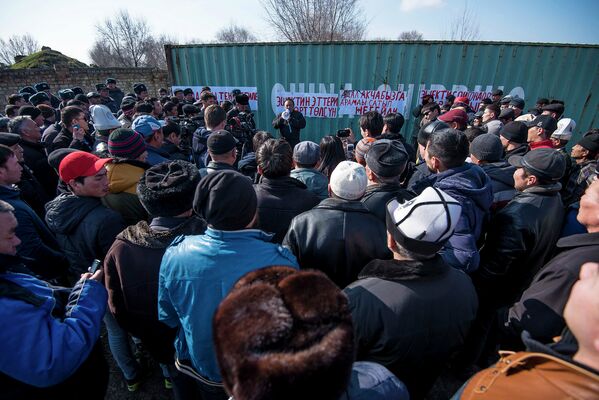 Митинг против распространения мяса ослов - Sputnik Кыргызстан