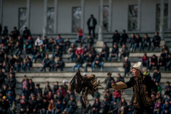 Чемпионат по традиционной кыргызской охоте Салбурун - Sputnik Кыргызстан