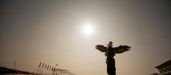 Соревнование по салбурун. Архивное фото Соревнование по салбурун. Архивное фото - Sputnik Кыргызстан