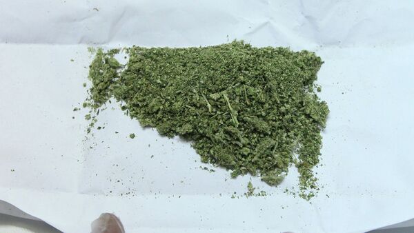 Изъятая марихуана в экспертно-криминалистическом центре. Архивное фото - Sputnik Кыргызстан