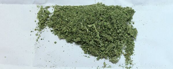 Изъятая марихуана в экспертно-криминалистическом центре. Архивное фото Изъятая марихуана в экспертно-криминалистическом центре. Архивное фото - Sputnik Кыргызстан