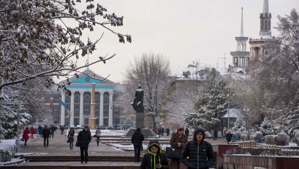 Прохожие в снежное утро на Аллее Молодежи. Архивное фото - Sputnik Кыргызстан