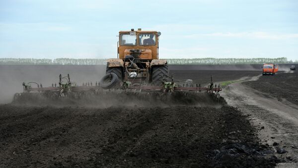 Весенне-полевые работы в Новосибирской области - Sputnik Кыргызстан