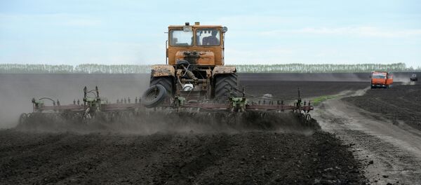 Жазгы талаа иштери. Архив - Sputnik Кыргызстан