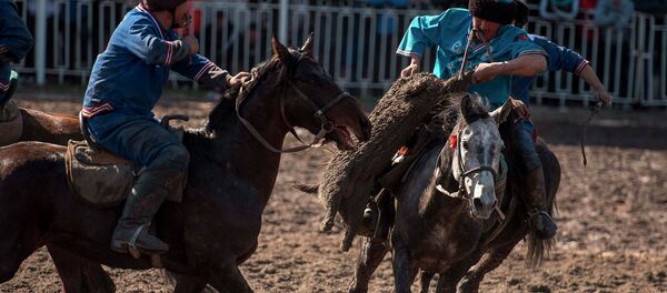 Көк-бөрү. Архив - Sputnik Кыргызстан