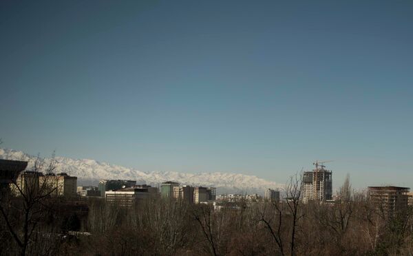 Вид города Бишкек с аттракциона чертов колесо в парке имени Ивана Васильевича Панфилова. Архивное фото - Sputnik Кыргызстан