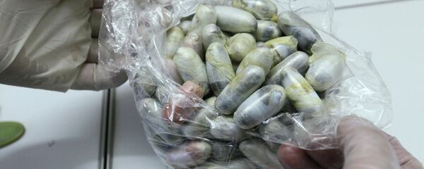 Баңги зат. Архив - Sputnik Кыргызстан