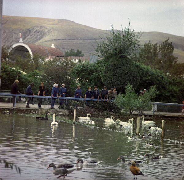 ВДНХ. Вид на один из районов города Фрунзе. фото 1969 г. - Sputnik Кыргызстан