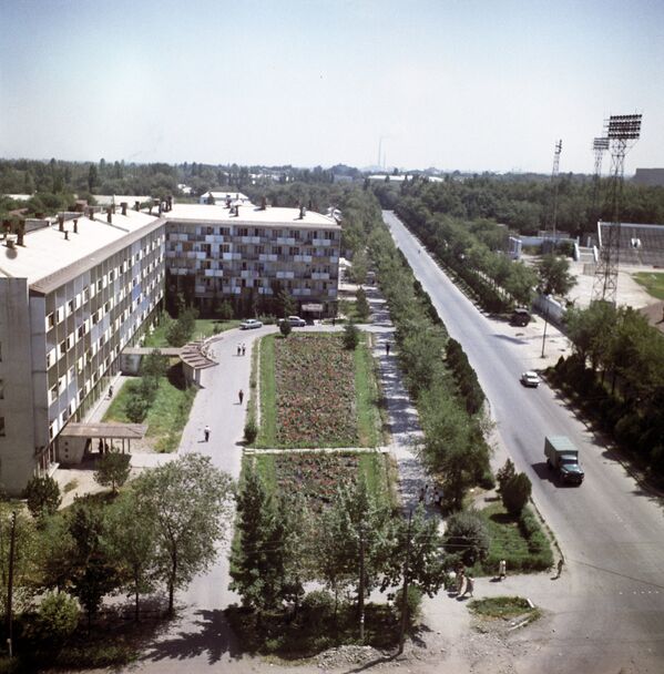 Вид на новостройки города Фрунзе. фото 1969 г. - Sputnik Кыргызстан