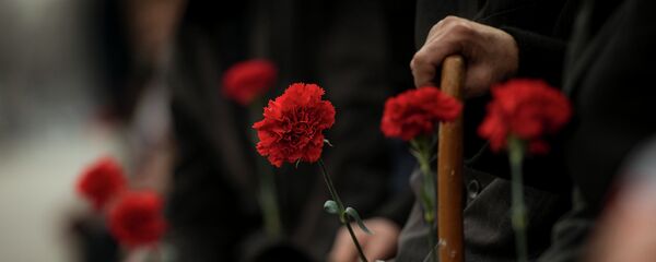 Гвоздика - Sputnik Кыргызстан