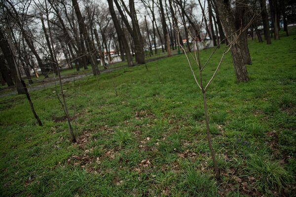 Бишкектеги Фучик паркында жер тилкеси сатыкка коюлган - Sputnik Кыргызстан