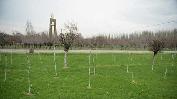 Саженцы деревьев в парке на Южных воротах. - Sputnik Кыргызстан