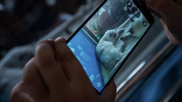 Телефон. Архивное фото - Sputnik Кыргызстан