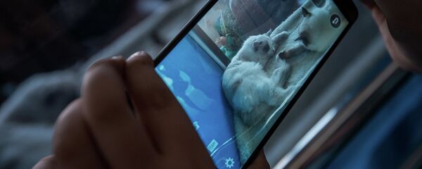 Телефон. Архивное фото - Sputnik Кыргызстан