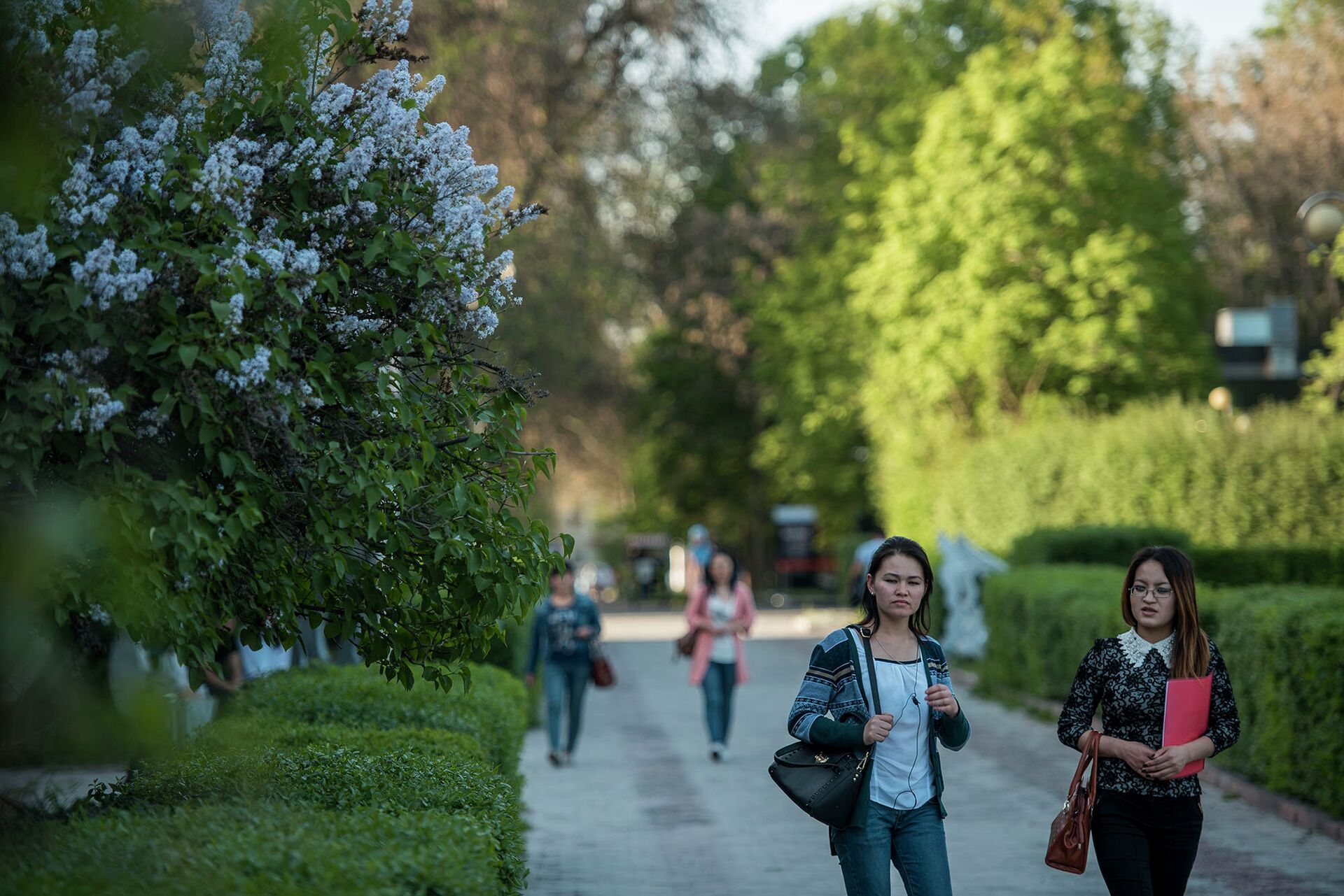 Бишкек 10 дней. Весна в Бишкеке игра. 6.10 Бишкек. В Бишкеке сейчас сирени на. В Бишкеке сейчас сирени начинается.