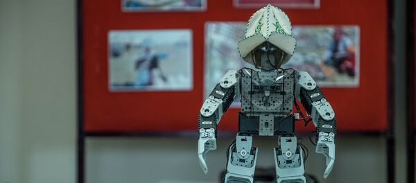 Кара жорго бийлеген робот. Архив - Sputnik Кыргызстан