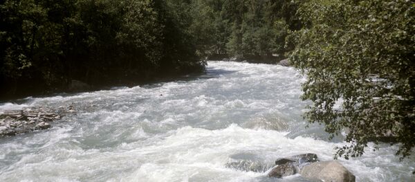 Дарыя. Архив - Sputnik Кыргызстан