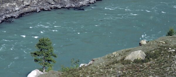 Дарыя. Архив Дарыя. Архив - Sputnik Кыргызстан