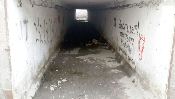 Надписи на одном из подземных переходов в Бишкеке - Sputnik Кыргызстан