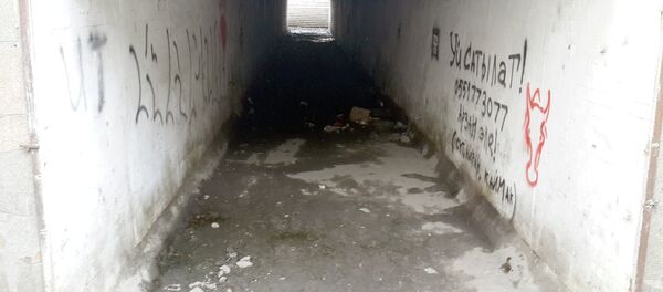 Надписи на одном из подземных переходов в Бишкеке - Sputnik Кыргызстан