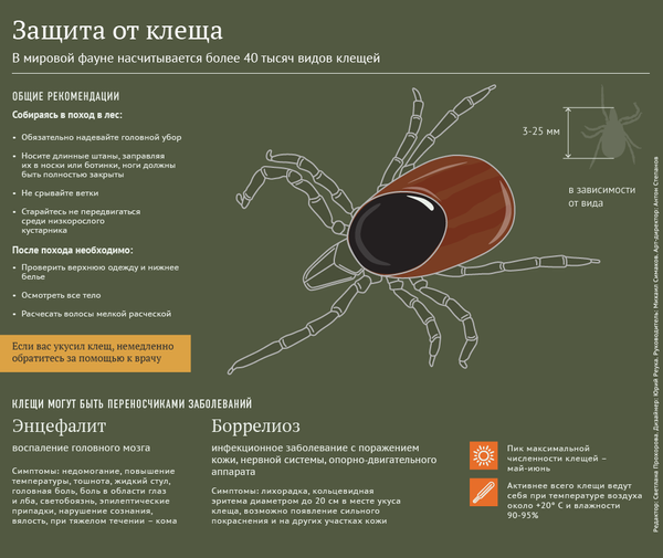 Защита от клеща - Sputnik Кыргызстан