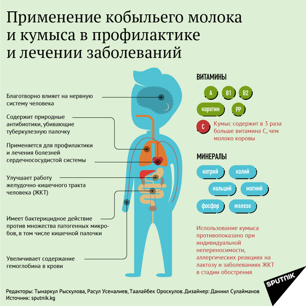 Кумысолечение: где, как и почем? - Sputnik Кыргызстан