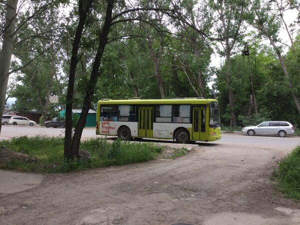 У водителя, из чьего автобуса выпала пенсионерка, отобрали права - Sputnik Кыргызстан