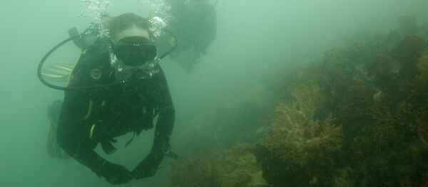 Дайверы во время погружения. Архивное фото Дайверы во время погружения. Архивное фото - Sputnik Кыргызстан