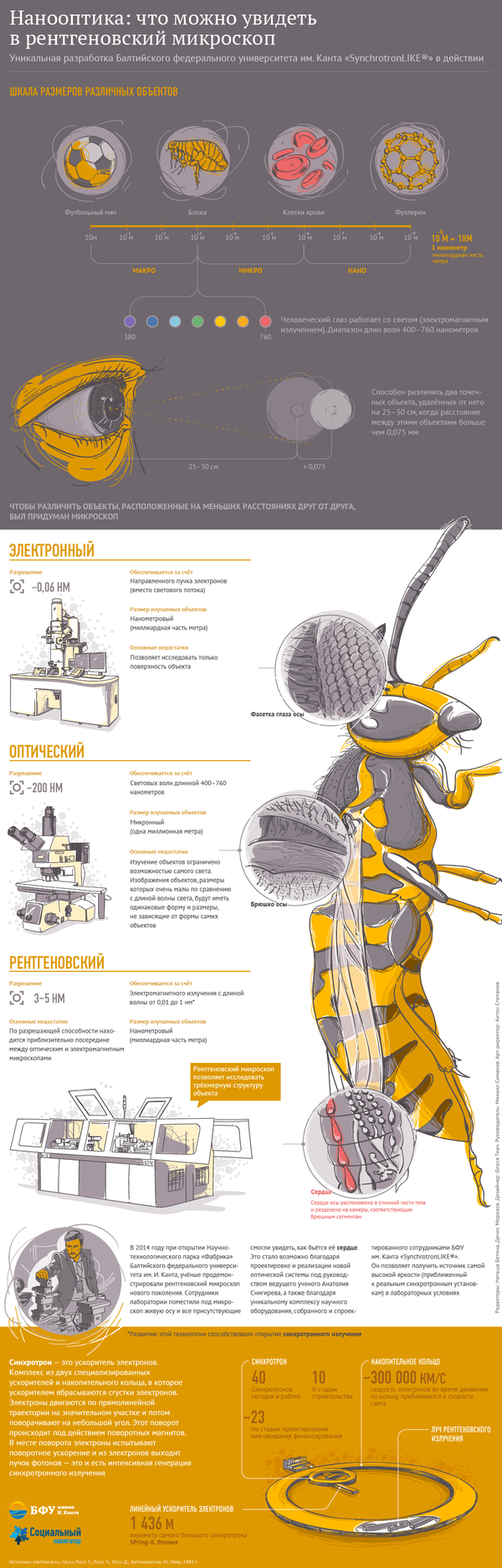 Нанооптика: что можно увидеть в рентгеновский микроскоп - Sputnik Кыргызстан