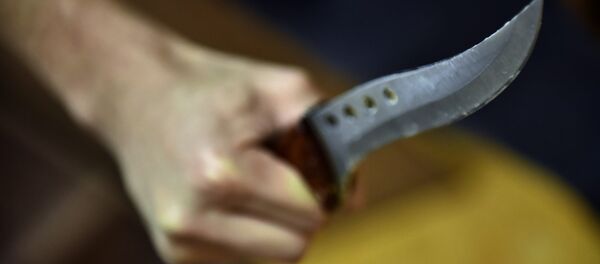 Человек с ножом в руках. Архивное фото - Sputnik Кыргызстан