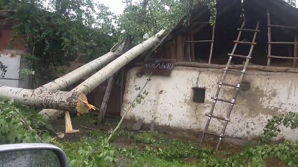 Ураганный ветер повалил столбы и деревья в Кара-Кульджинском районе - Sputnik Кыргызстан