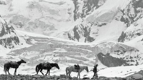 Путник с лошадьми в горах. Архивное фото - Sputnik Кыргызстан