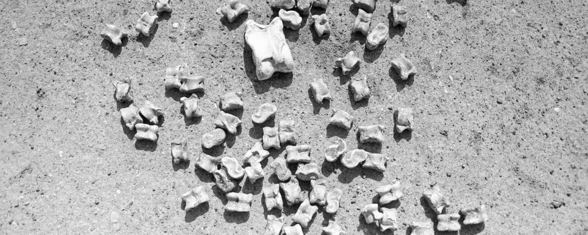 Чүкө — адам баласынын эң алгачкы оюнчугу. Архив - Sputnik Кыргызстан, 1920, 05.03.2026