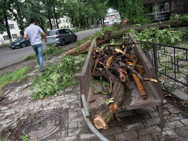 Последствия ураганного ветра в Бишкеке. Архивное фото - Sputnik Кыргызстан