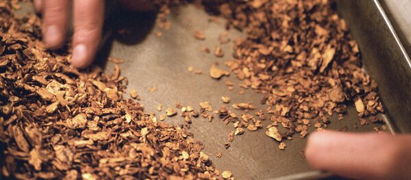 Добыча золота. Архивное фото - Sputnik Кыргызстан