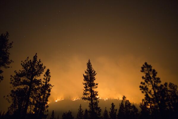 В Калифорнии пылает самый крупный в этом году лесной пожар. - Sputnik Кыргызстан