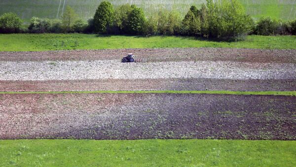 Тракторист боронит вспаханное поле. Архивное фото - Sputnik Кыргызстан