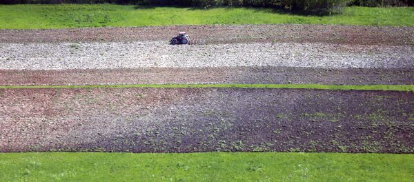 Тракторист боронит вспаханное поле. Архивное фото Тракторист боронит вспаханное поле. Архивное фото - Sputnik Кыргызстан