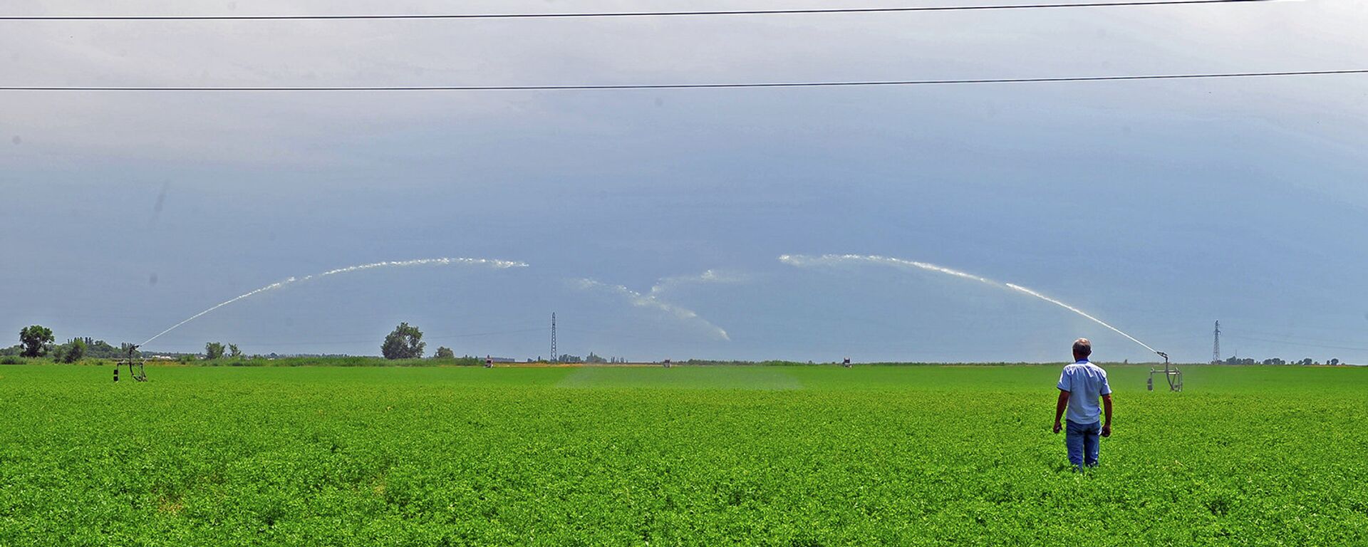 Сельскохозяйственные поля во время полива в Кыргызстане - Sputnik Кыргызстан, 1920, 14.04.2026