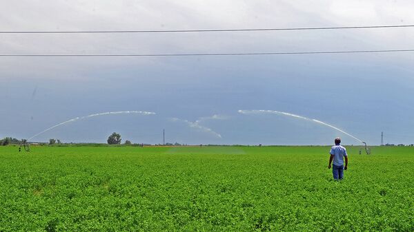 Сельскохозяйственные поля во время полива в Кыргызстане - Sputnik Кыргызстан