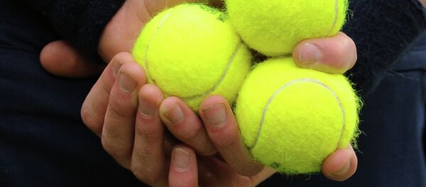 Теннис. Уимблдон - 2012. Двенадцатый день - Sputnik Кыргызстан