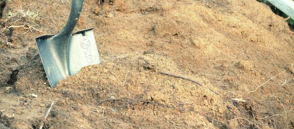 Күрөк. Архив - Sputnik Кыргызстан