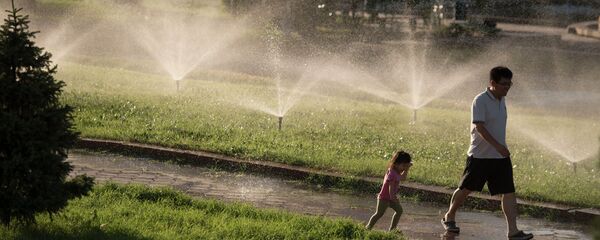 Полив газона в Бишкеке. Архивное фото - Sputnik Кыргызстан