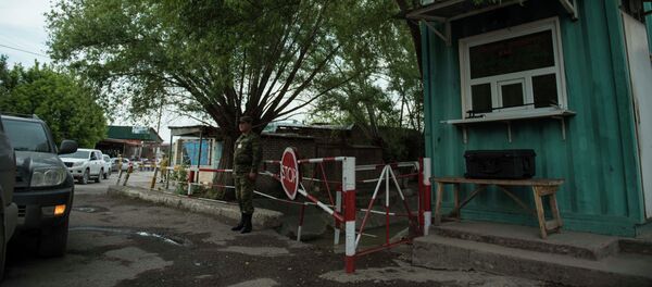 Пограничник на посту. Архивное фото - Sputnik Кыргызстан