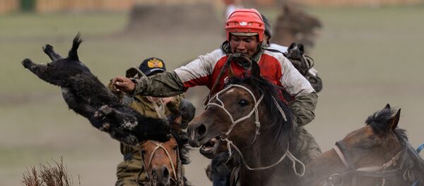 Көк бөрү оюну. Архив - Sputnik Кыргызстан