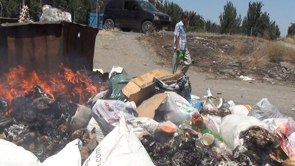 В сорокоградусную жару неизвестные подожгли мусор в Бишкеке - Sputnik Кыргызстан