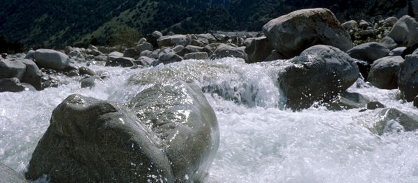 Дарыя. Архив - Sputnik Кыргызстан