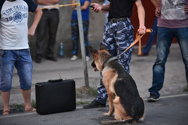 Служебная собака. Архивное фото - Sputnik Кыргызстан