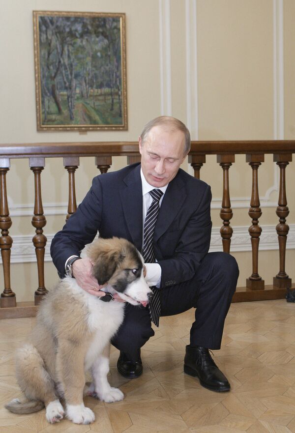 Президент России Владимир Путин со своей собакой. Архивное фото - Sputnik Кыргызстан